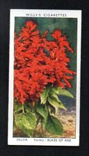 SALVIA 1939 W. D. H. O. WILLS CIGARETTES GARDEN FLOWERS #41 EXMINT NICE CORNERS picture