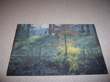 THE DILS CEMETERY, HATFIELD-McCOY FUED, PIKE COUNTY KENTUCKY VTG POSTCARD picture