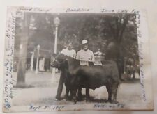 Vintage Photograph 1948 Iowa State Fair Grand Champ Bandolier Cattle Farming picture