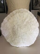 Extra Lrg Genuine White Coral Mushroom Razor Bowl Ocean Natural Fossil 12” Round picture