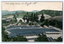 c1908 Aerial View Prune Drying Saratoga California CA Antique Vintage Postcard picture
