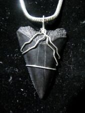 White Shark Tooth on Silver Snake Chain picture