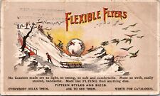 AP-092 Flexible Flyers Snow Sleds Boy Pulling Birds Victorian Trade Card picture