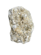 Florida Calcite  on Limestone And Shell Matrix 2lbs 11oz picture