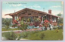 A Typical Bungalow in California c1910 Antique Postcard picture