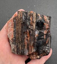 Opalized agatized fossilized wood rough 253 grams picture