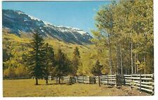 Rock Creek Entrance, High Uinta Mountains Area, Utah, c1950's Unused Postcard picture