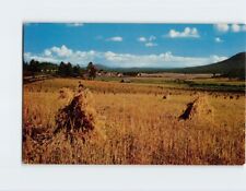 Postcard After The Harvest, Montana picture