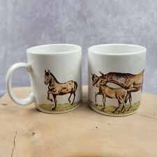 Otagiri Horse Pony Foal In Grass Mug Cup Set Lot of 2 Made in Japan Vintage picture