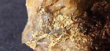 Gold Ore Specimen 88.4g Crystalline Gold From Ontario 3656 Was $239 picture