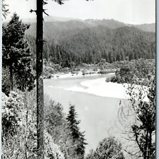 c1940s Klamath Glen, CA RPPC Terwer Riffle Zan 471 Real Photo Postcard Cali A200 picture