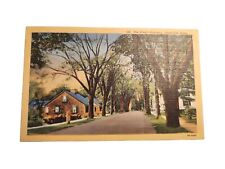 Postcard Vintage The Kings Highway Cape Cod, Mass A86 picture