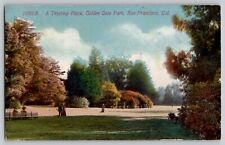 * rare * Trysting Place Golden Gate Park San Francisco CA 1910s VTG Postcard picture