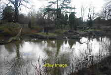 Photo 6x4 Lower Lake, Crystal Palace Park Penge An atmospheric setting fo c2014 picture
