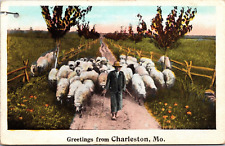 Postcard Greetings Charleston MO Missouri Sheep Shepherd Boy Barefoot Hat picture