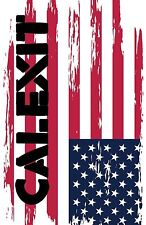 Calexit #1 Black Mask Variant Limited to 250 NM American Flag California Comic picture