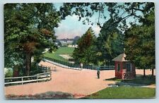 Postcard MD Baltimore Cedar Avenue Bridge in Druid Hill Park c1916 View U01 picture