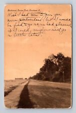 Cleveland OH-Ohio, Boulevard, Gordon Park, Antique, Vintage c1909 Postcard picture