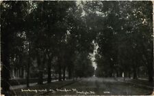 Vintage Postcard- 6024. Fairfax St., Carlyle, IL. Posted 1911 picture