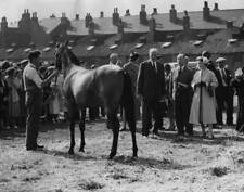 Queen Elizabeth II attending annual yearling sales Doncaster S- 1955 Old Photo picture