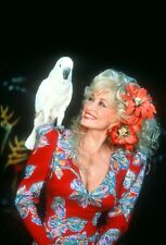 Dolly Parton With Parrot  8x10 Glossy Photo picture
