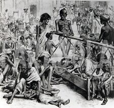 Vintage Press Photo India Madras Famine 1877 print 9 3/8x7 1/8in picture