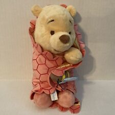 2010 Disney Parks Babies Winnie The Pooh Baby Pooh Plush picture