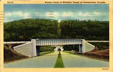 Vintage Postcard- Kittatinny Tunnel, PA Early 1900s picture