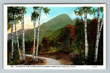 Salt Lake City UT-Utah, Alpine Scenic Highway, Forest View, Vintage Postcard picture