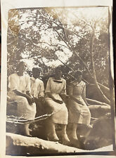 Antique RPPC Four People Sitting Outside On A Tree-Real Photo Postcard picture