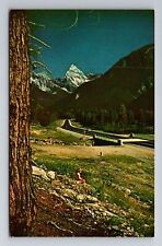 Golden-British Columbia, Rogers Pass, Mount Sir Donald Souvenir Vintage Postcard picture