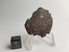 3.45g Near Full Slice Of NWA 11961 C3-ung Meteorite CX-trend picture