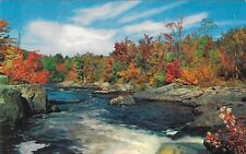 Vintage New York Chrome Postcard Catskill Mountains Picturesque Fishing Stream picture