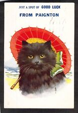C9347 Greetings from Paignton Black Cat Bamforth #2697 PU1950 vintage postcard picture