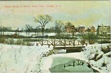 Newark NJ The Snow Covered Rustic Bridge in Branch Brook Park 1908 picture