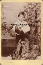 1892 WOLSTANTON CABINET CARD BOY NAMED HENRY FURNELL PEATY VICTORIAN PHOTO #C990 picture