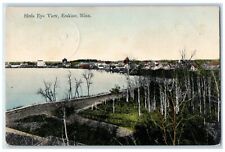 1910 Birds Eye View River Exterior Erskine Minnesota MN Vintage Antique Postcard picture