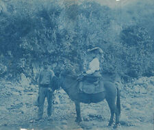 AMERICAN ARTIST S. G. BURN~CHIAPAS MEXICO~LARGE CYANOTYPE (7 1/2 X 9) ~ c. -1900 picture
