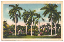 Royal Palms, Florida FL-1937 posted postcard picture