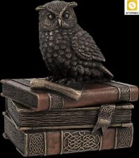 Little Owl On The Books VERONESE Bronze Figurine Hand Painted Great For A Gift picture