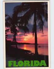Postcard Sunset Over The Water Florida USA picture