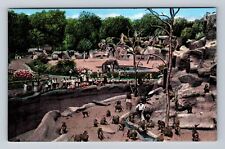 Detroit MI-Michigan, Monkey Island, Detroit Zoo, Antique, Vintage Postcard picture