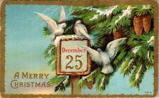 vintage postcard - A Merry Christmas pine tree and doves w/ date posted 1911 picture
