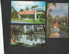lot of 3 vintage Silver Springs Florida postcards 1950s - 60s picture