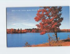 Postcard Autumn Paints The Lakeside Greetings From Park Falls Wisconsin USA picture