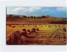 Postcard Farm Field Landscape Nature Scene USA North America picture