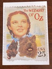 Judy Garland Wizard of Oz Photo Postcard picture