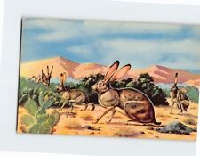 Postcard Jackrabbits, the West picture