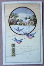1920 Christmas Greetings Postcard Cozy Country Home in Snow Scene Bluebirds picture