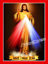 Jesus Divine Mercy MAGNET ~ Catholic GIFT 4 x 3 inches picture